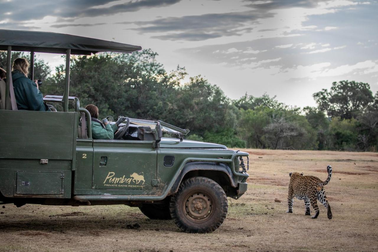 Pumba Private Game Reserve Grahamstown Esterno foto