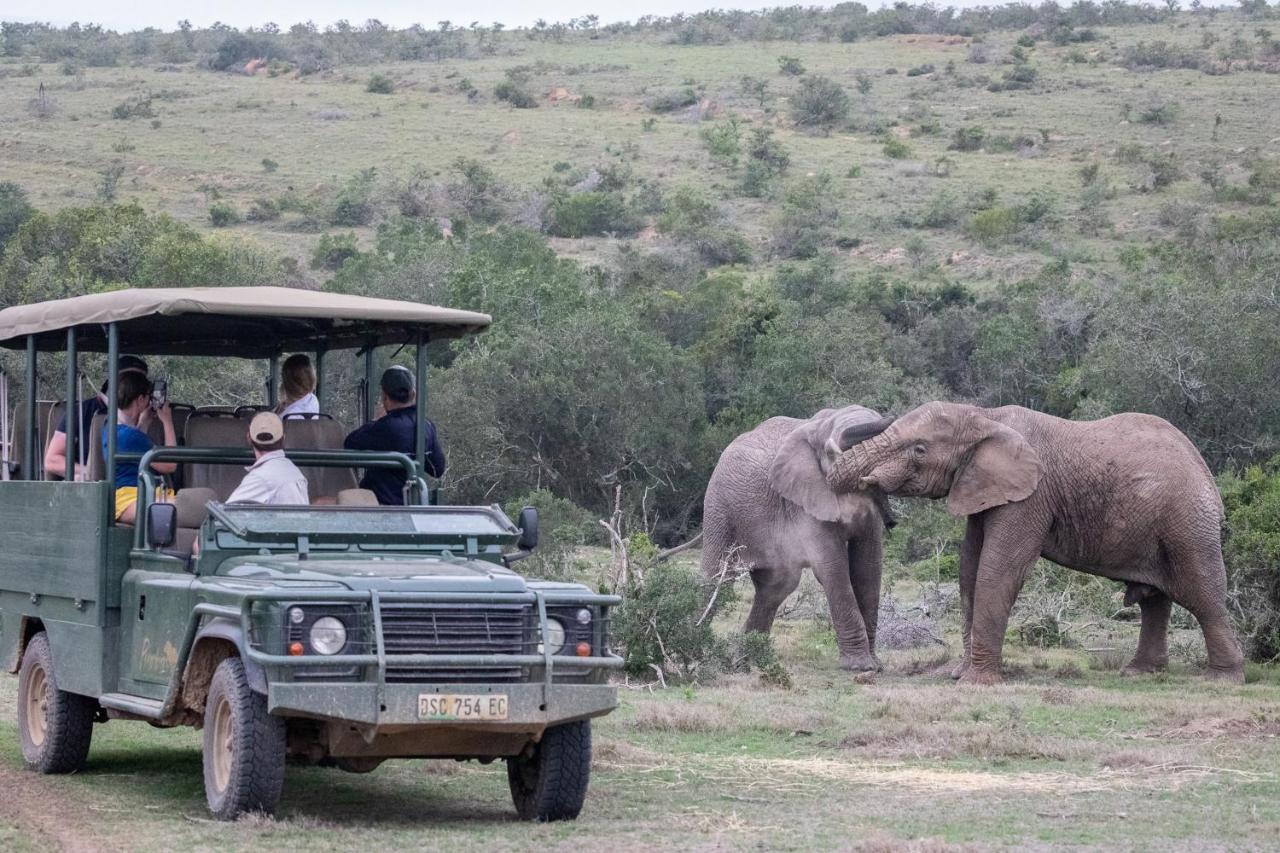 Pumba Private Game Reserve Grahamstown Esterno foto