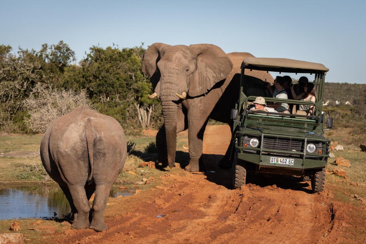 Pumba Private Game Reserve Grahamstown Esterno foto
