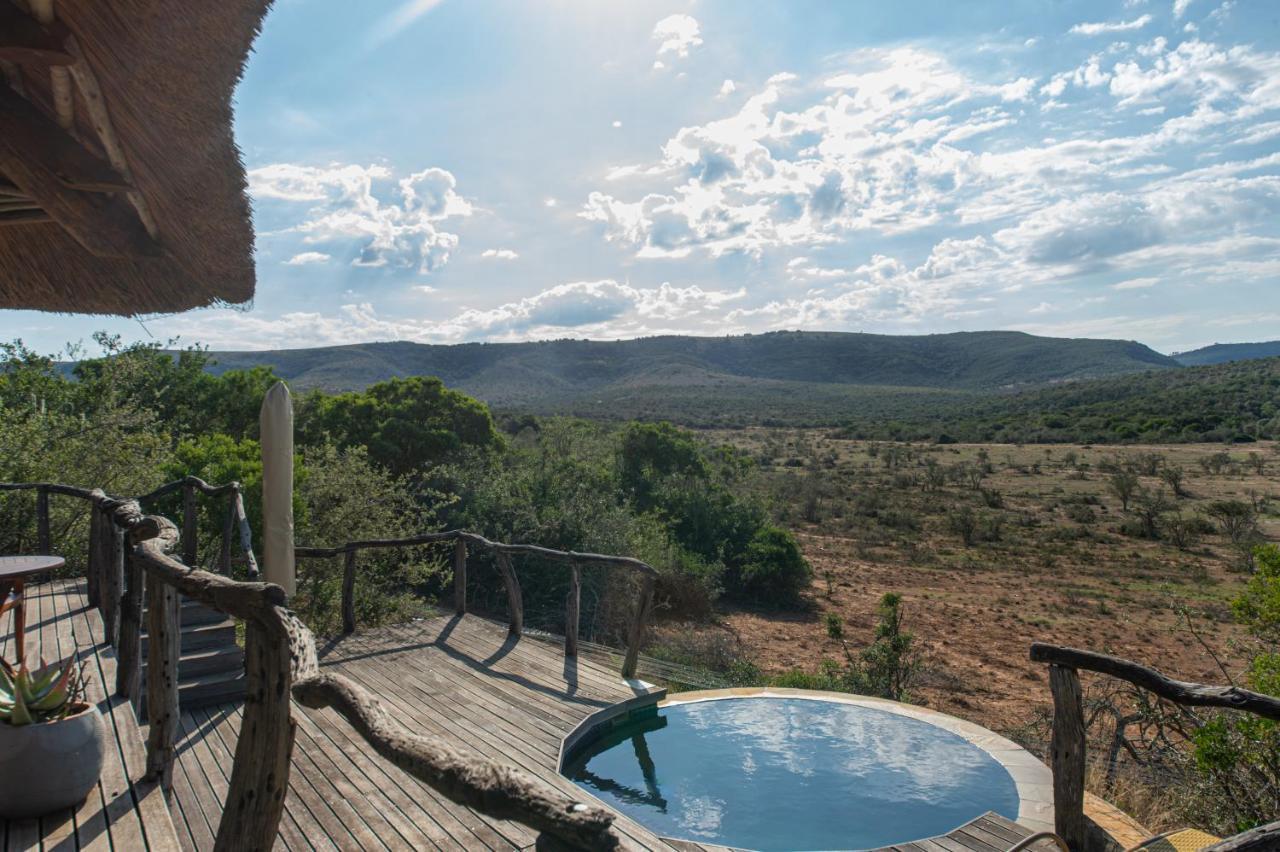 Pumba Private Game Reserve Grahamstown Esterno foto